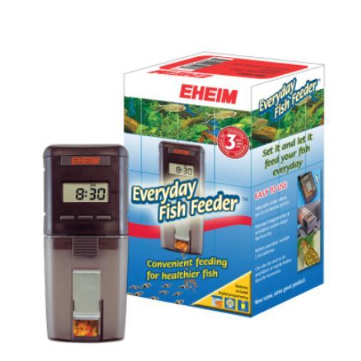 Everyday fish feeder online