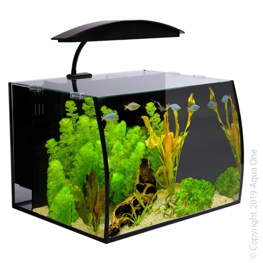 Aqua One Arc 30 Glass Aquarium Set 30L