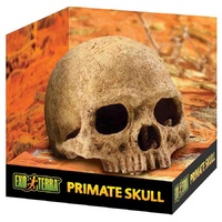 Exo Terra Primate Skull Large