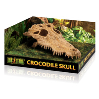 Exo Terra Crocodile Skull Medium