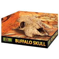 Exo Terra Buffalo Skull Medium