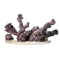 Caribsea Life Rock Belize Branch 9.1kg