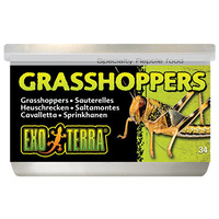 Exo Terra Wild Grasshoppers 34g