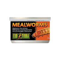 Exo Terra Canned Mealworms 34g