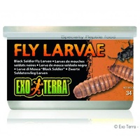 Exo Terra Black Soldier Fly Larvae 34g