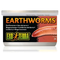 Exo Terra Canned Earthworms 34g