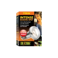 Exo Terra Intense Basking Spot Lamp 75w