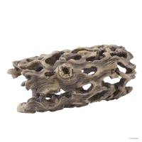 Exo Terra Cholla Cactus Skeleton Small