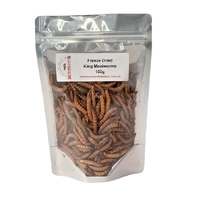 Minibeast Freeze Dried King Mealworms 100g