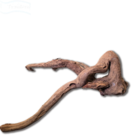 Dymax Drift Wood Display