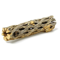 Blackwater Mini Cholla Wood 7-9cm Medium