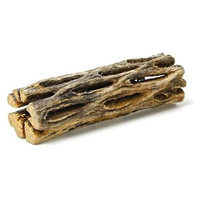 Blackwater Mini Cholla Wood 7-9cm Thick