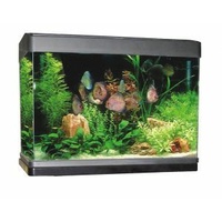 Blue Planet Kingdom 100 Hpled 100L Eg520