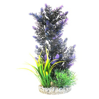 Sydeco Pacifica Purple Bush 30Cm