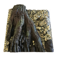 Tree Root in Rock Wall Background 58.5 x 58.5cm