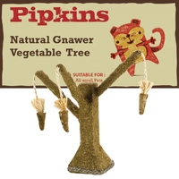 Pipkins Alfalfa Edible Carrot Tree