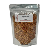 Minibeasts Freeze Dried Mealworms 100g