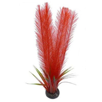 Petworx Feather Fern & Rush Red 20"