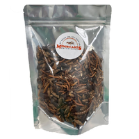 Minibeasts Freeze Dried Insects 100g