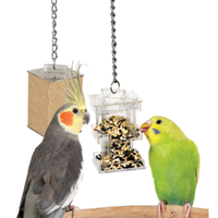 Featherland Paradise Hide Away Foraging Box Feeder 28x7cm 96-00751