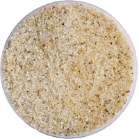 Golden Tree Ivory Gravel 0.5-1mm - 4kg