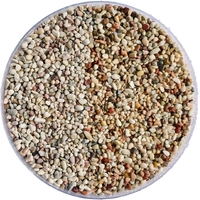 Golden Tree Lagoon Gravel 2-3mm - 8kg