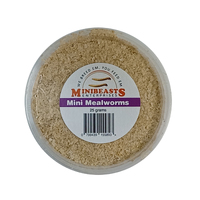 Minibeasts Mini Mealworm Tub 25g 5-10mm