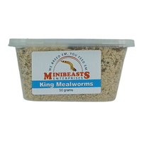 Minibeasts King Mealworm 50g 50-60mm