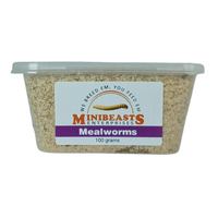 Minibeasts Mealworm Tub 100g 30-35mm
