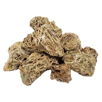 WIO Web Nano Stone 2kg