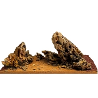 WIO Amber Dragon River Kit 12kg