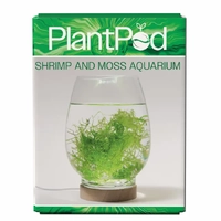 Aqua Natural Plant Pod Shrimp & Moss Aquarium