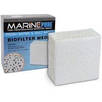 MarinePure 8x8x4" Block