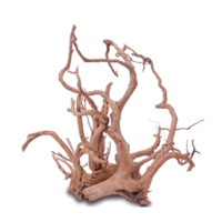 Dymax Tweety Wood Large