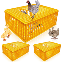 Elite Pet Plastic Chicken Transport Crate 74x54x27cm