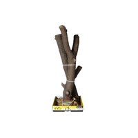 Reptile One Build-N-Bask 34cm 30344
