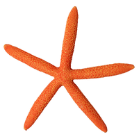 Aqua One Hermit Crab Starfish Ornament Orange 37179OR