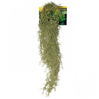 Reptile One Hanging Spanish Moss Grey 40cm 46789