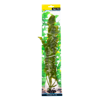 Aqua One Ecoscape XXLarge Ruffled Lace Plant 28243