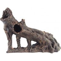 Giant Strangler Fig Trunk With Roots Npt29 53X43X26Cm