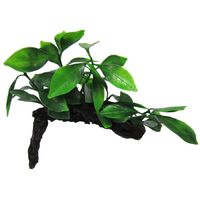 Amazon Jungle Aphilia On Log 16cm CPP24