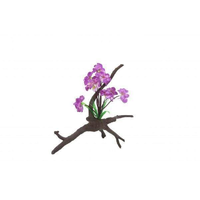 Amazon Jungle Orchid Flowers On Branch 25cm