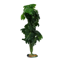 Amazon Jungle Philo Bush XL 45-50cm CPP85