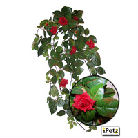 URS Red Rose Leaf Silk Plant