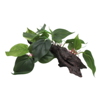 URS Plastic Plant On Driftwood 35 spdw35