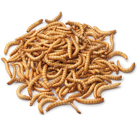 Pisces Mini Mealworms 18g