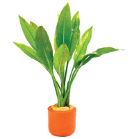 Assorted Sword 3cm Terracotta Pot