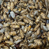 Pisces Freeze Dried Woodies 280g