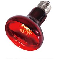 Sparkzoo Infrared Uva Heat Lamp 40W