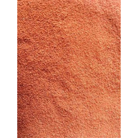 Petworx Reptile Sand Red 10Kg